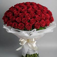 Букет 101 Красная роза Блэк Мэджик в Бижбуляк