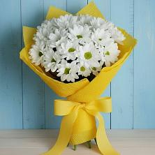 Букет цветов из:  Хризантемы в Бижбуляк