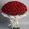 Букет 101 Красная роза Блэк Мэджик в Бижбуляк
