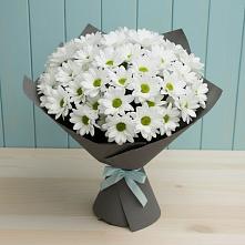 Букет цветов из:  Хризантемы в Бижбуляк