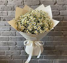 Букет цветов из:  Ромашки #REPLACE_PRED# Бижбуляк