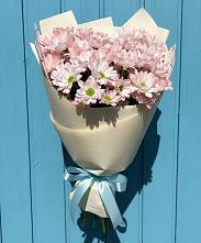 Букет цветов из:  Хризантемы в Бижбуляк