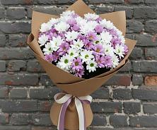 Букет цветов из:  Хризантемы в Бижбуляк