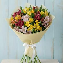 Букет цветов из:  Альстромерии в Бижбуляк
