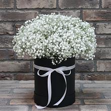 Цветочная композиция из Гипсофила в шляпной коробке в Бижбуляк
