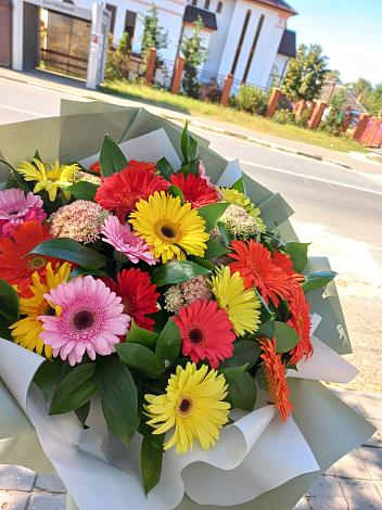 Букет цветов из: Герберы в Бижбуляк