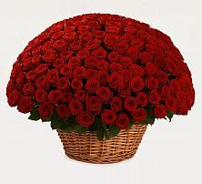 Премиум букет из: Розы в Бижбуляк